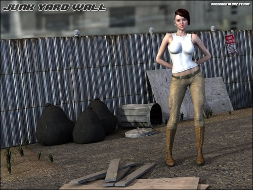 Junk Yard Wall