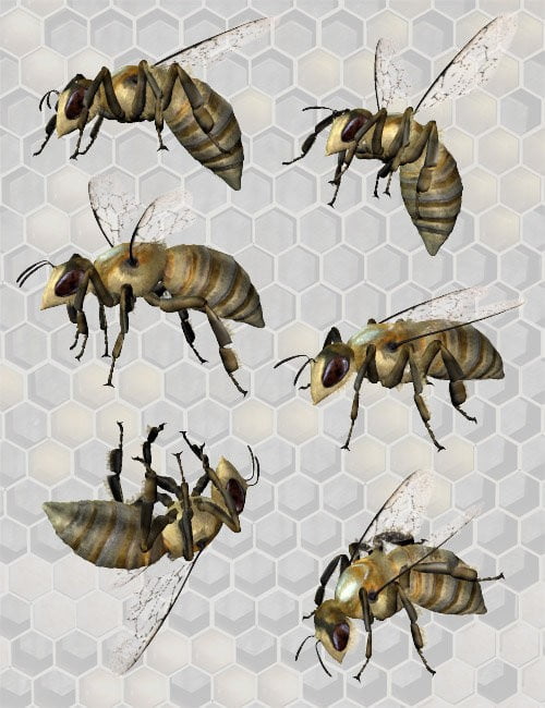 The Ultimate Bee Collection