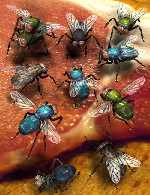 Ultimate Fly Collection