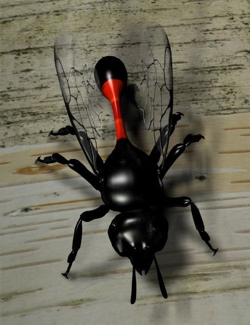 Ultimate Wasp Collection