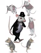 House Mouse's Poses