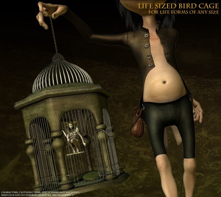 Life Sized Bird Cage Life Sized Bird Cage