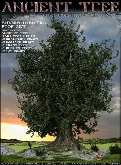 HFS-Ancient-Tree