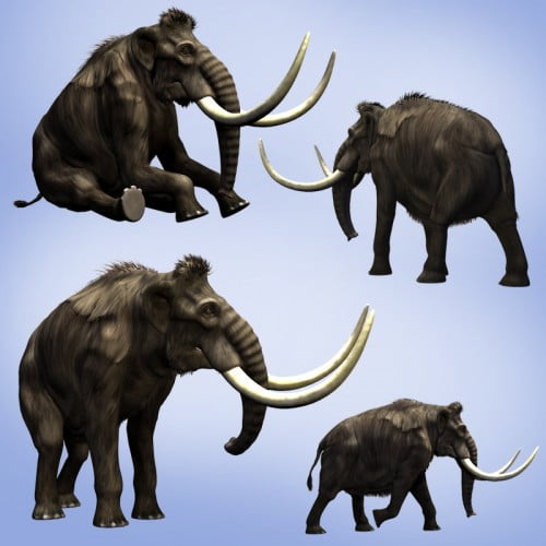 Woolly Mammoth