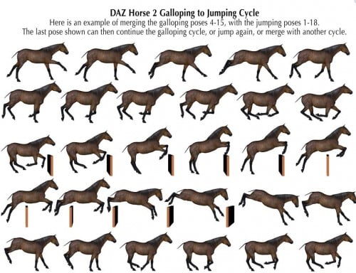 Walking, Trotting, Cantering, Galloping, and Jumping Actions Bundle