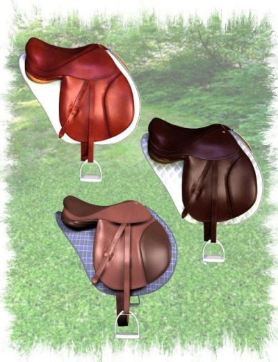 english-tack-for-the-millennium-horse-01-2