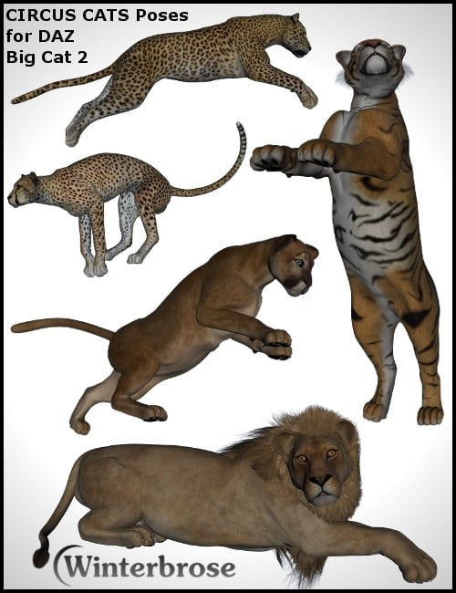 CIRCUS CATS Poses for DAZ Big Cat 2