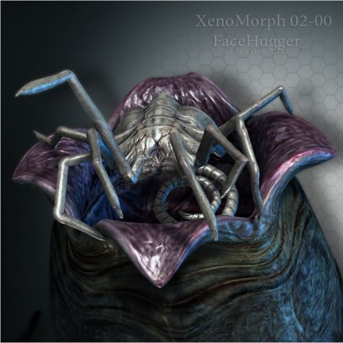 XenoMorph 02-00 FaceHugger