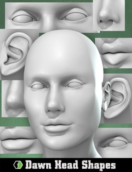 Dawn's Head Shapes