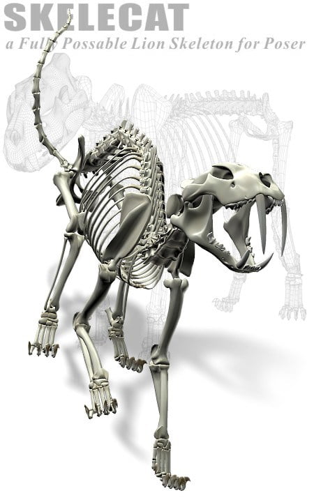 Skele Cat for Poser