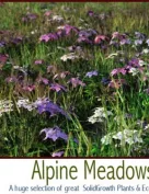 Alpine Meadows Mega Bundle