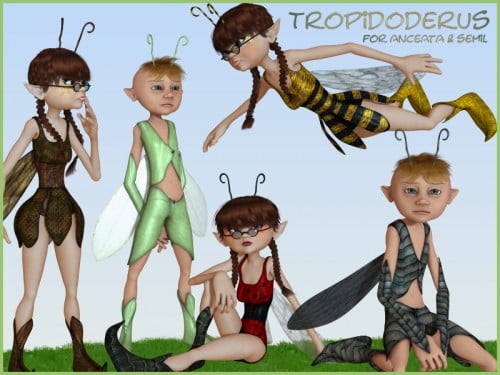 Tropidoderus
