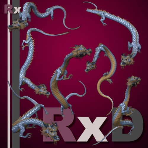 RxD Eastern Dragon Poses 3