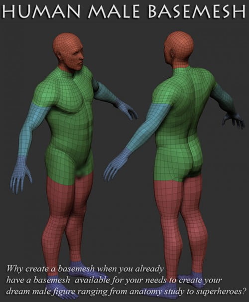 Human Male Basemesh