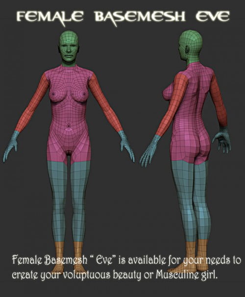 FEMALE_BASEMESH_EVE