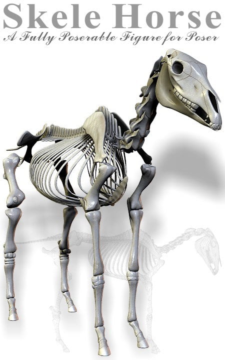 Skele Horse Skele Horse
