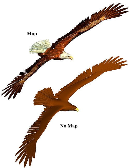 Texture Map - Eagle