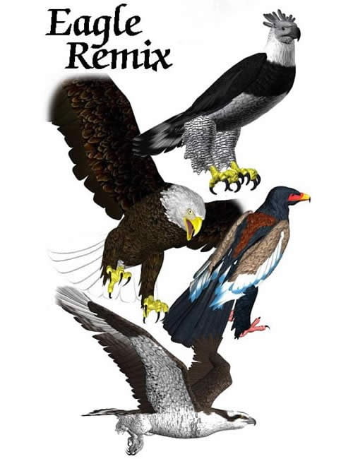 eagle-remix-large