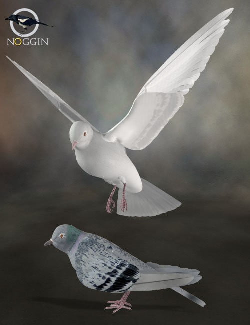 Poser Pigeon / DAZ Dove