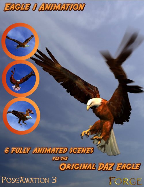 Eagle Motions