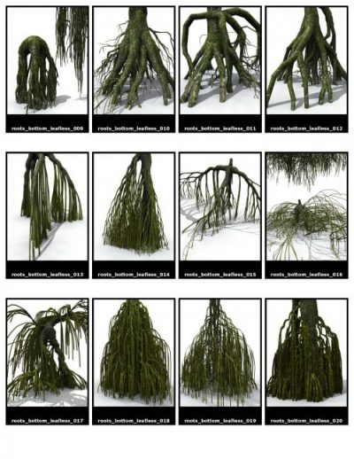 Pages-de-JungleRainforest