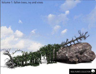 RPC-Volume-1-Fallen-Trees-Ivy-and-Vines