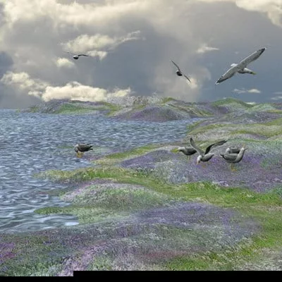 cyllan-tform-clake-1