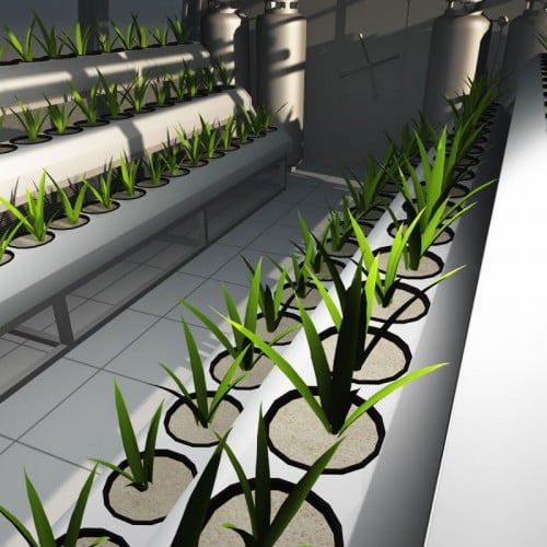 Hydroponics Module