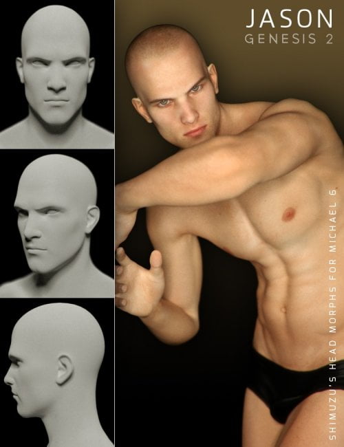 Shimuzu's Head Morphs for Michael 6
