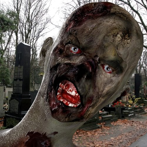 Undead Bob