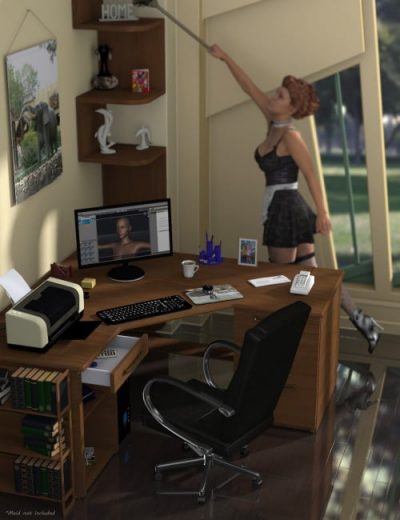 01-single-office-home-office-daz3d-1