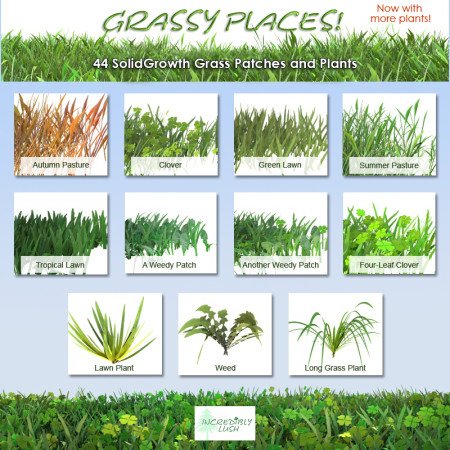 Incredibly Lush Grassy Places!