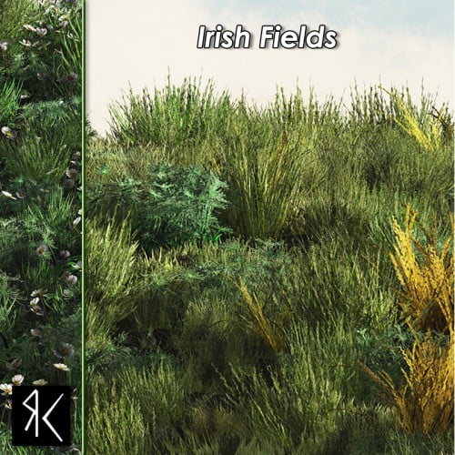 Irish Fields
