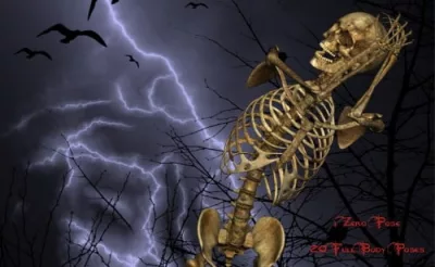 M4-Old-Bones-2-cover