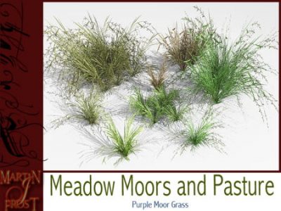 Meadow__Moorland_and_Pasture__Vue_53_4_img-1