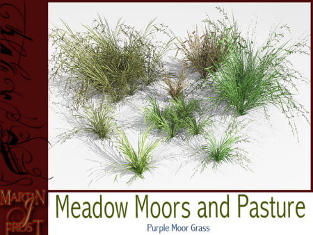 Meadow, Moorland and Pasture by Martin Frost
