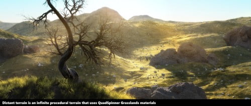 QuadSpinner Grasslands