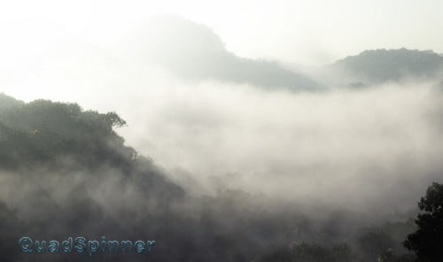 QuadSpinner - Jungle Dawn