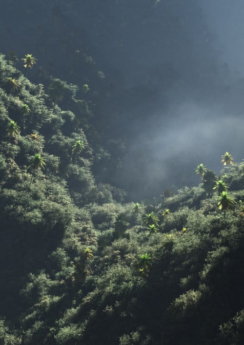 QuadSpinner Tropical Vale