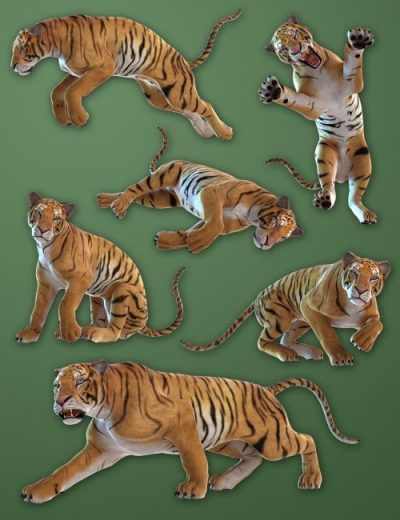 capscesposesbc2_main-2