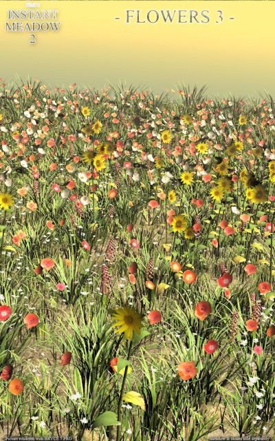 product_image_full_196615-1