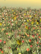 Flinks Instant Meadow 2 - Flowers 3