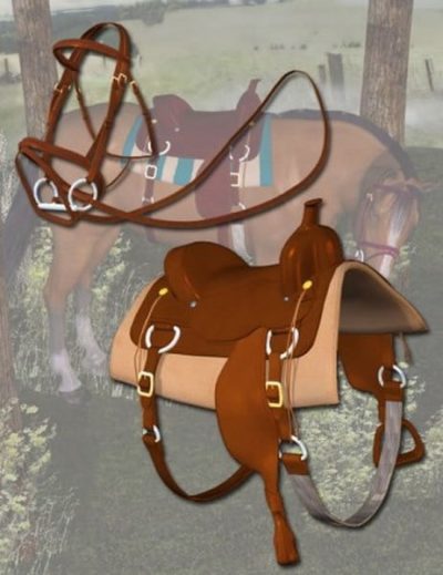 western-horse-tack-for-the-millennium-horse-large-Copy-1