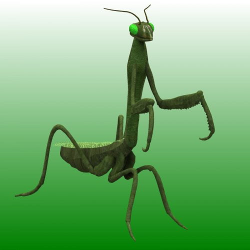 Mantis (for Poser)