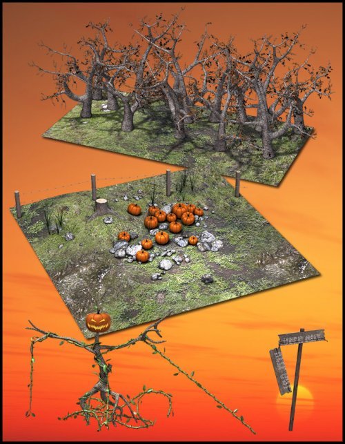 Creepy Pumpkin Field