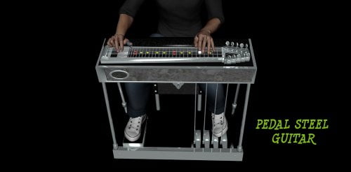 Pedal Steel Guitar