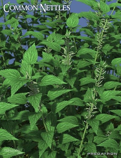 00-main-predatron-common-nettles-daz3d-1