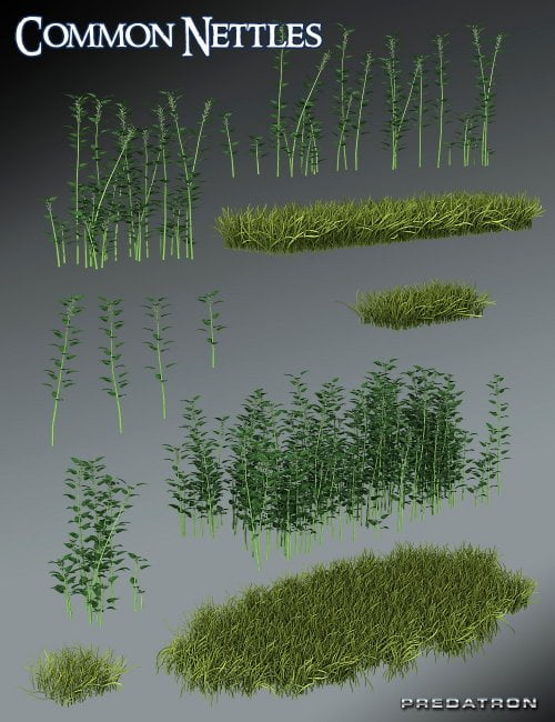 Predatron Common Nettles