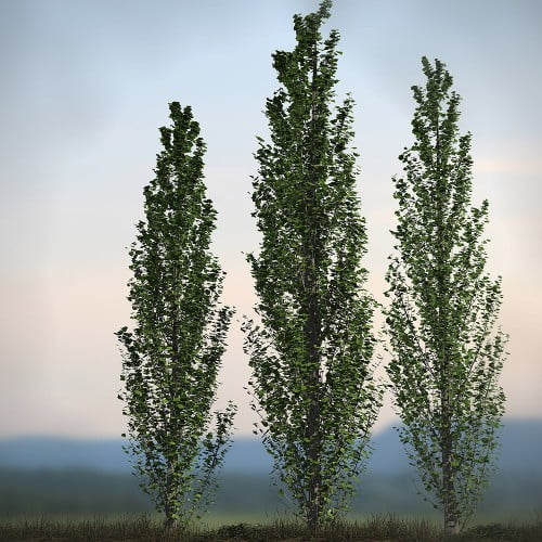 Orestes Trees Vol. 1