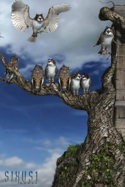 Full105325_8f370f68d946e161528dad7616bfea4d-1